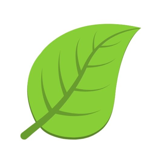 jamed health favicon