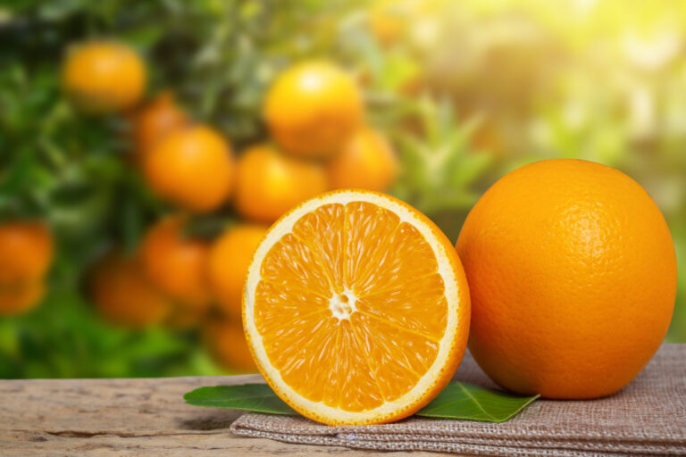 incredible benefits of oranges